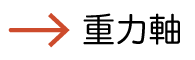 重力軸